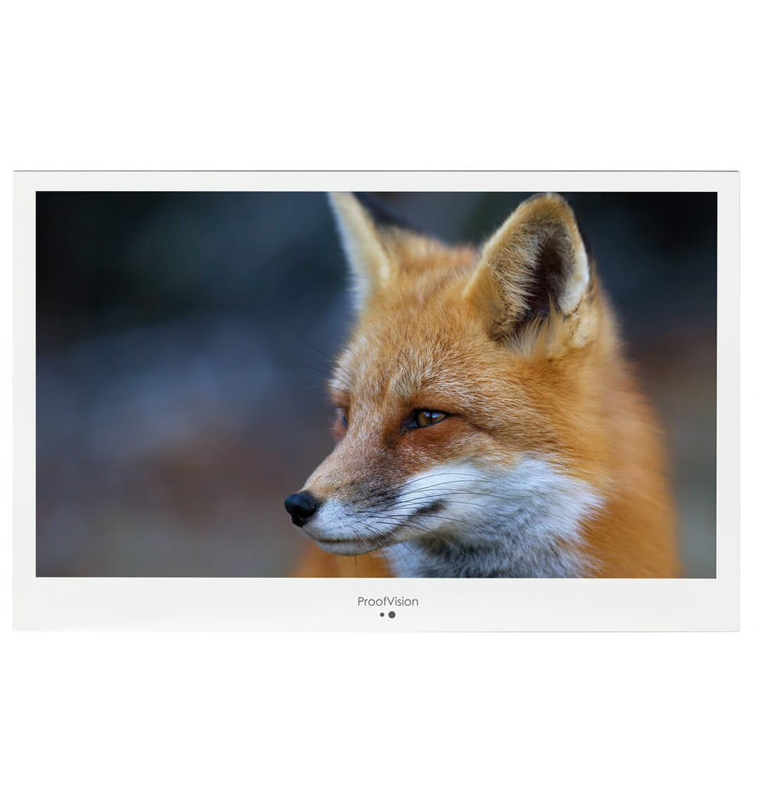 ProofVision 43-Zoll-Smart-TV für Badezimmer und Dusche